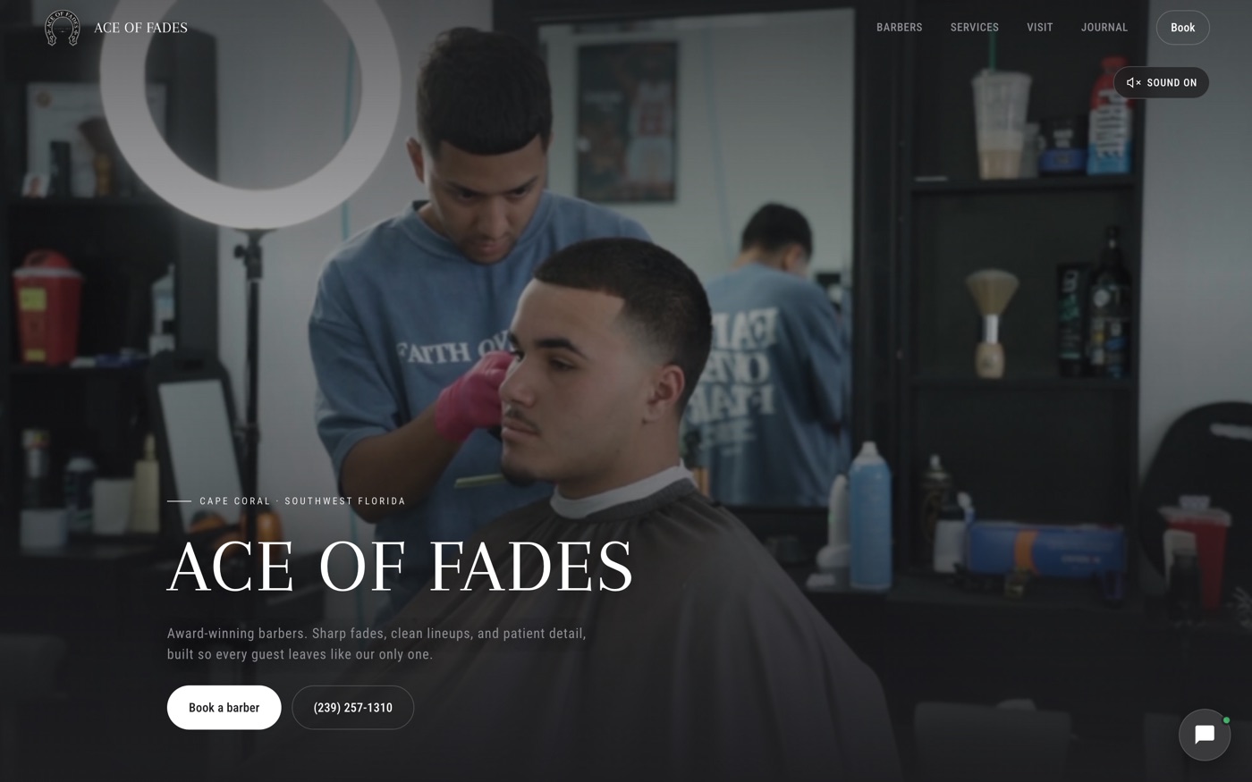 Ace of Fades website